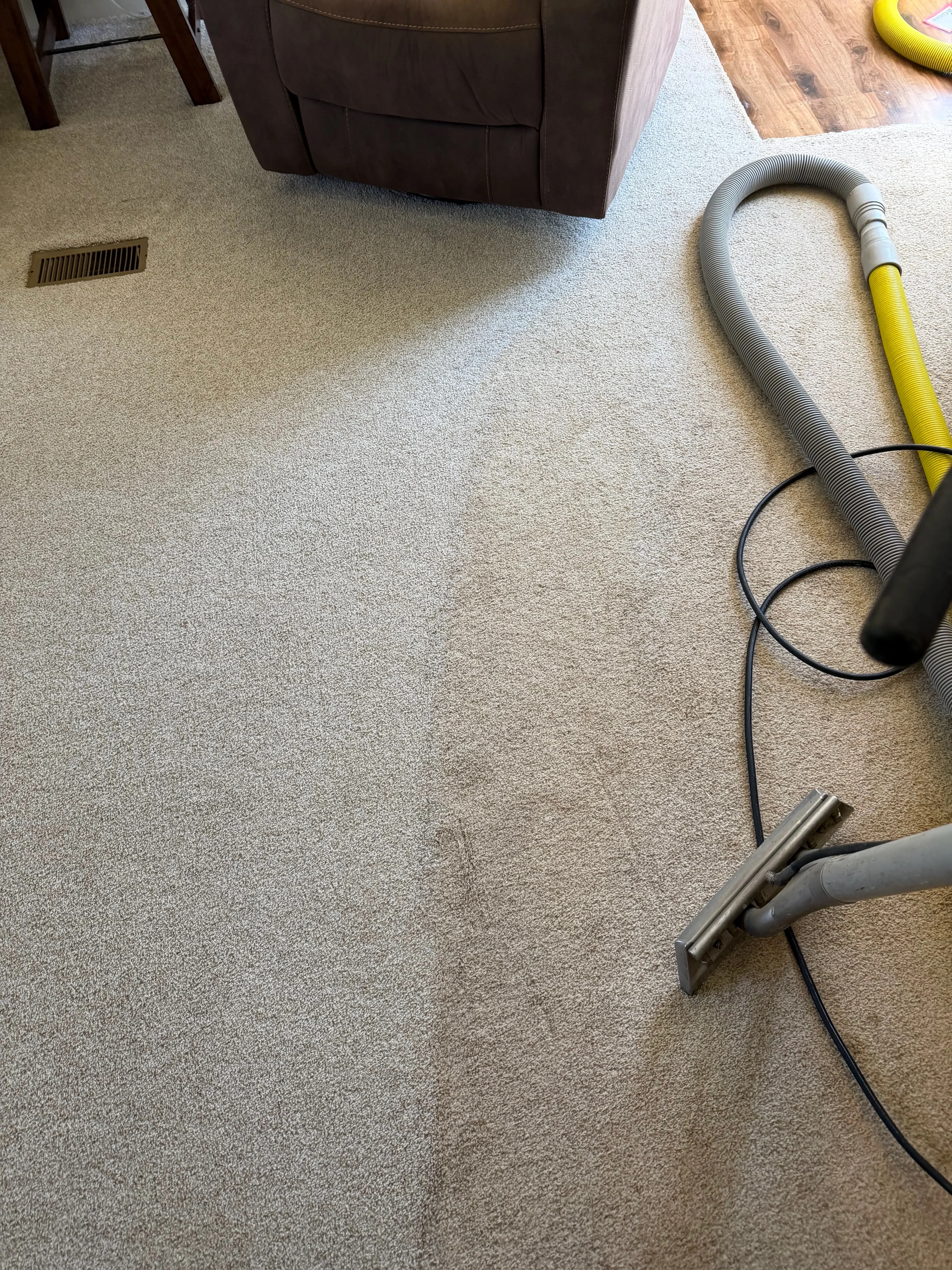 Carpet cleaning in progress with extraction equipment and hose on beige residential carpet