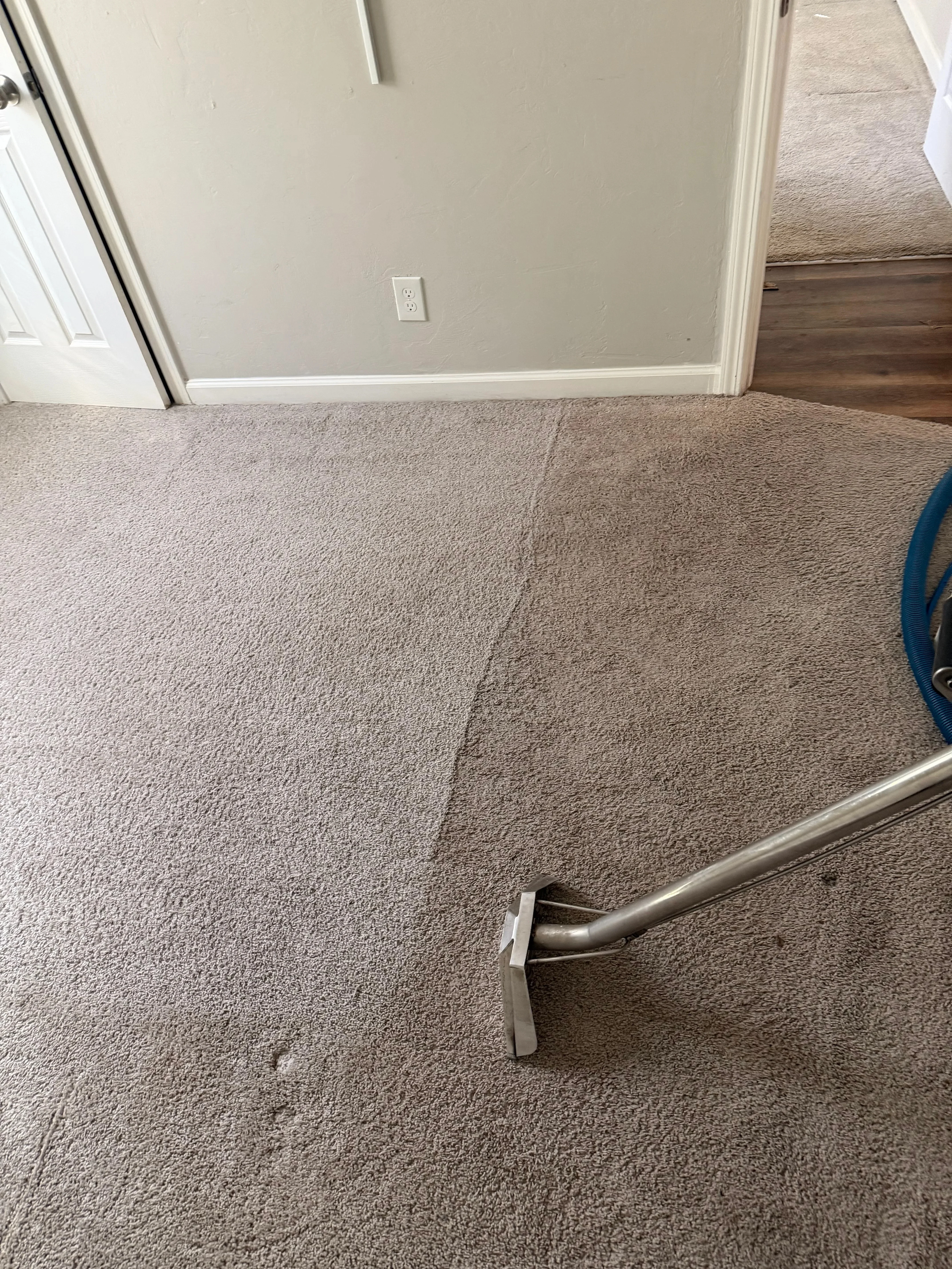 Carpet cleaning with truck-mounted extraction equipment on beige residential carpet