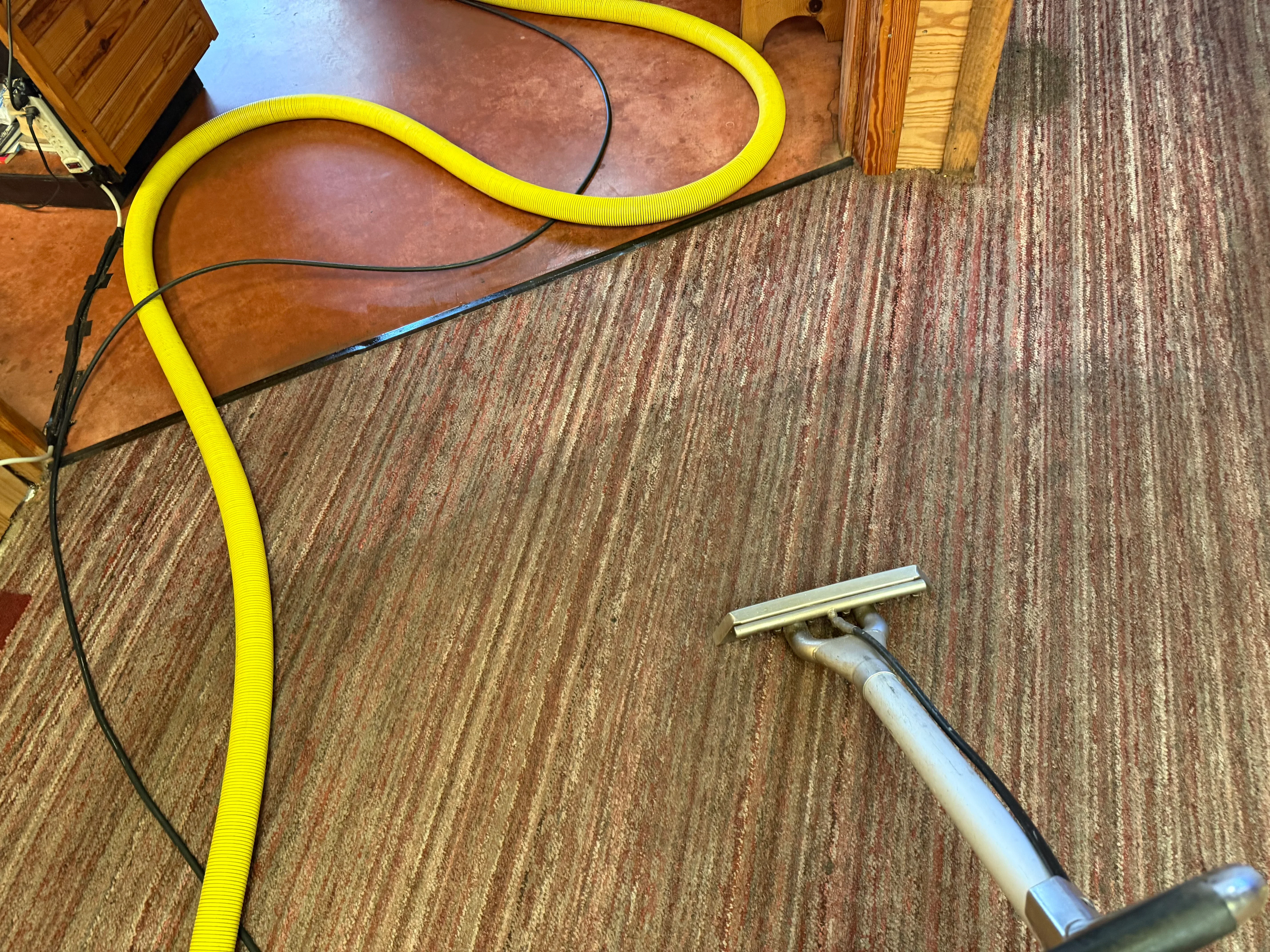 Hot water extraction carpet cleaning with yellow hose and cleaning wand on commercial carpet