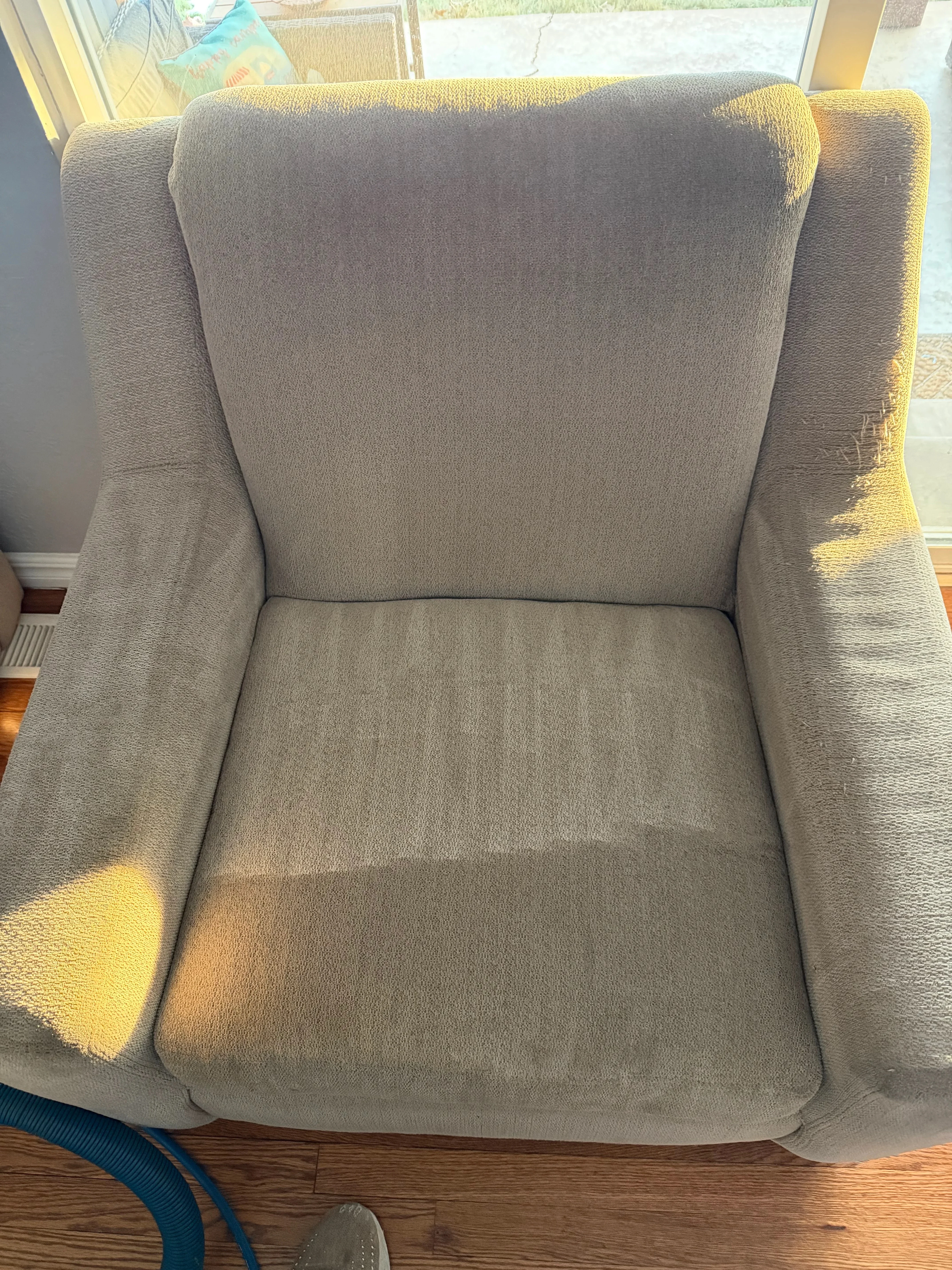Light gray upholstered wingback chair with cleaned fabric, showing restored seat and back cushions