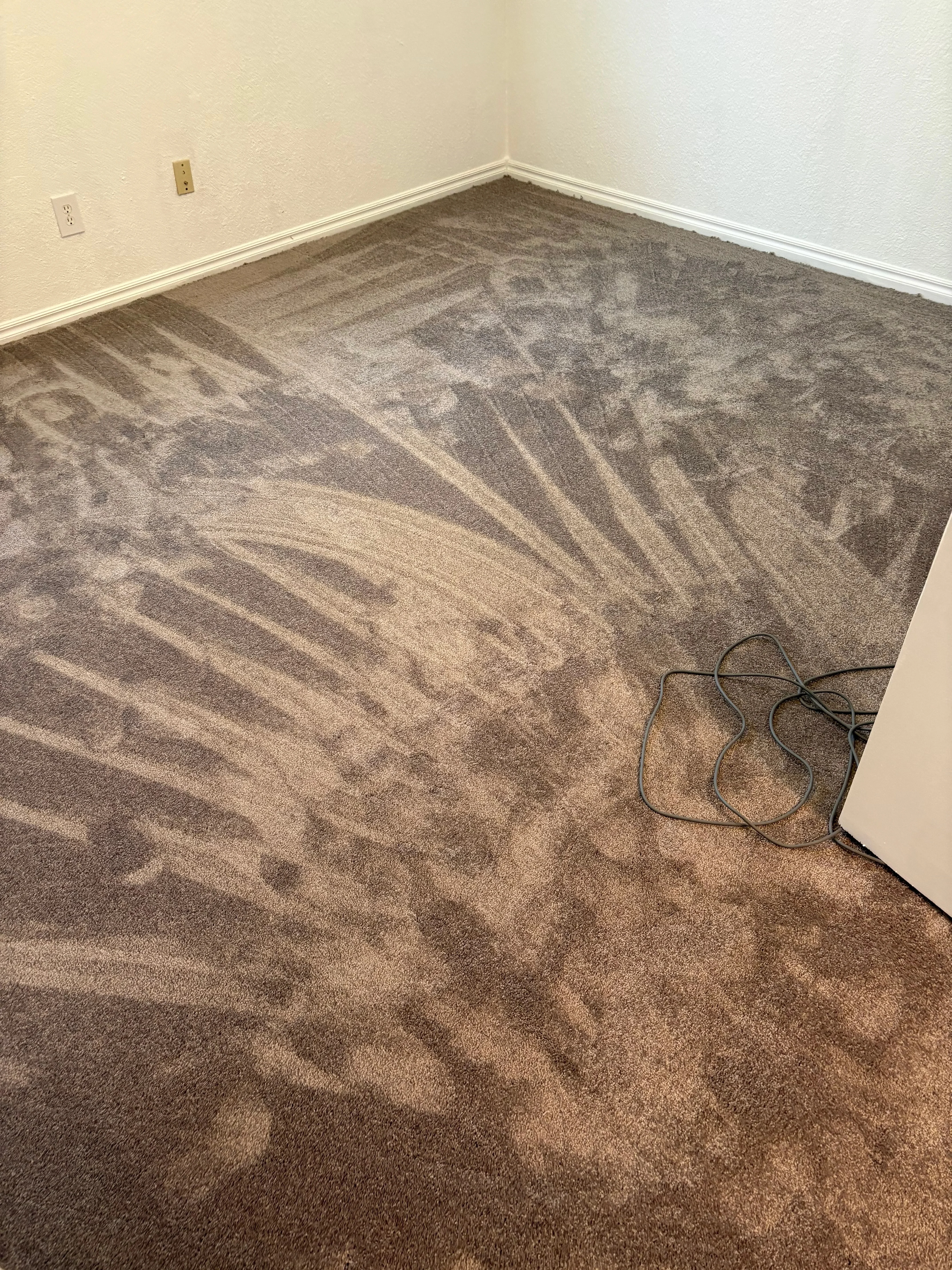 Cleaned gray carpet with restored appearance in empty room with white trim and beige walls
