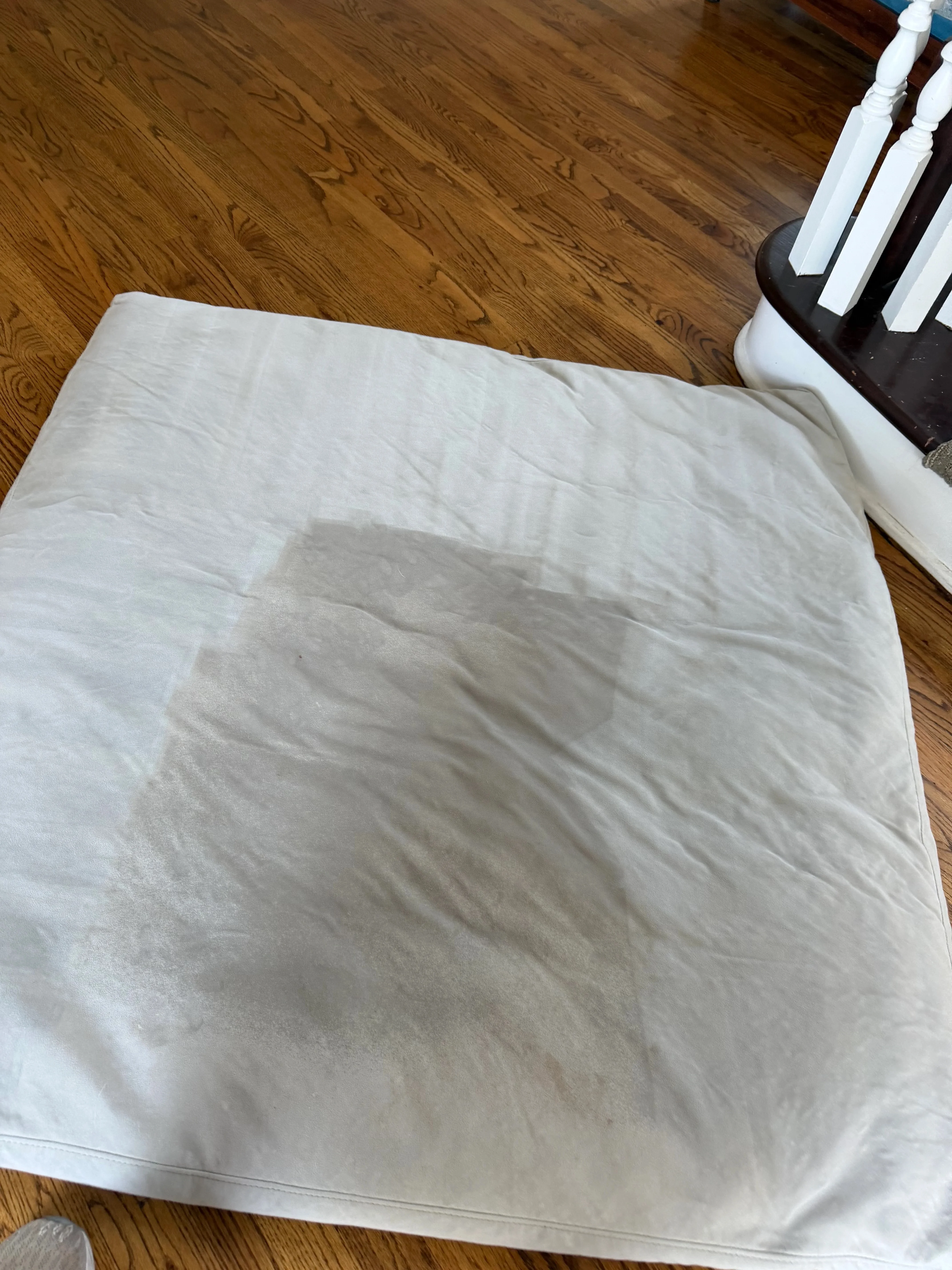 Light carpet with stain treatment demonstration on hardwood floor