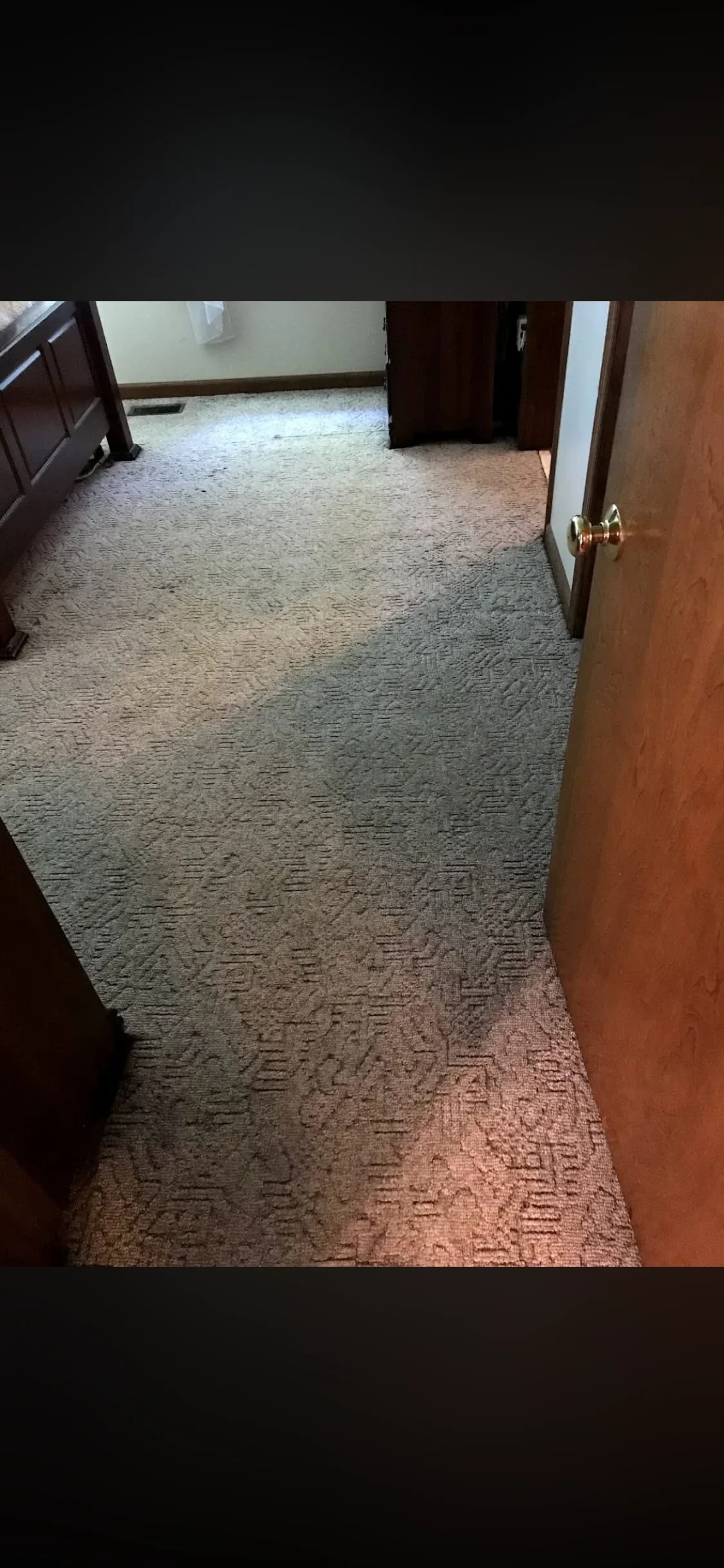 Clean textured carpet in hallway with dark wood doors and trim