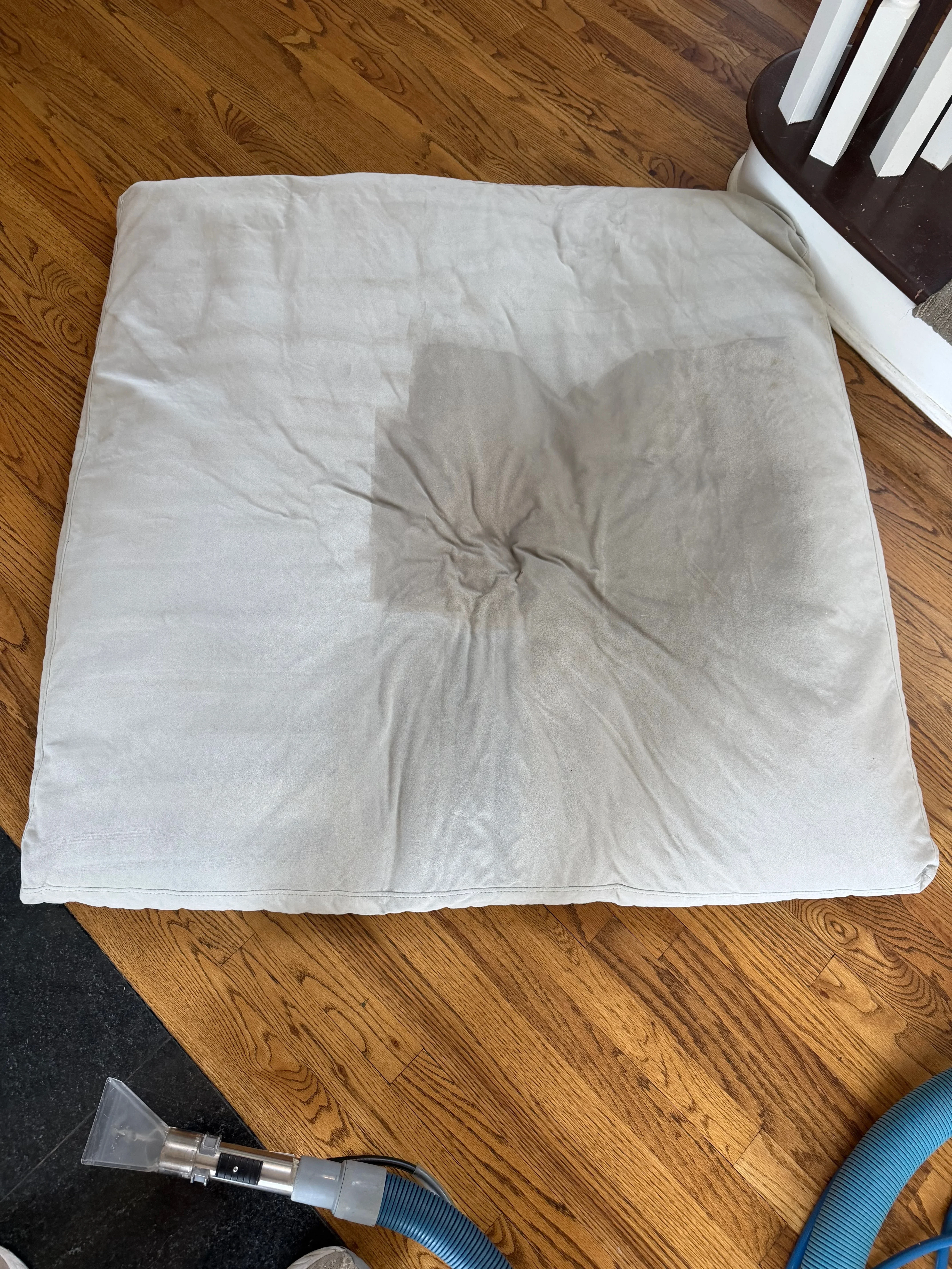 White mattress with stain removal treatment using professional carpet cleaning equipment