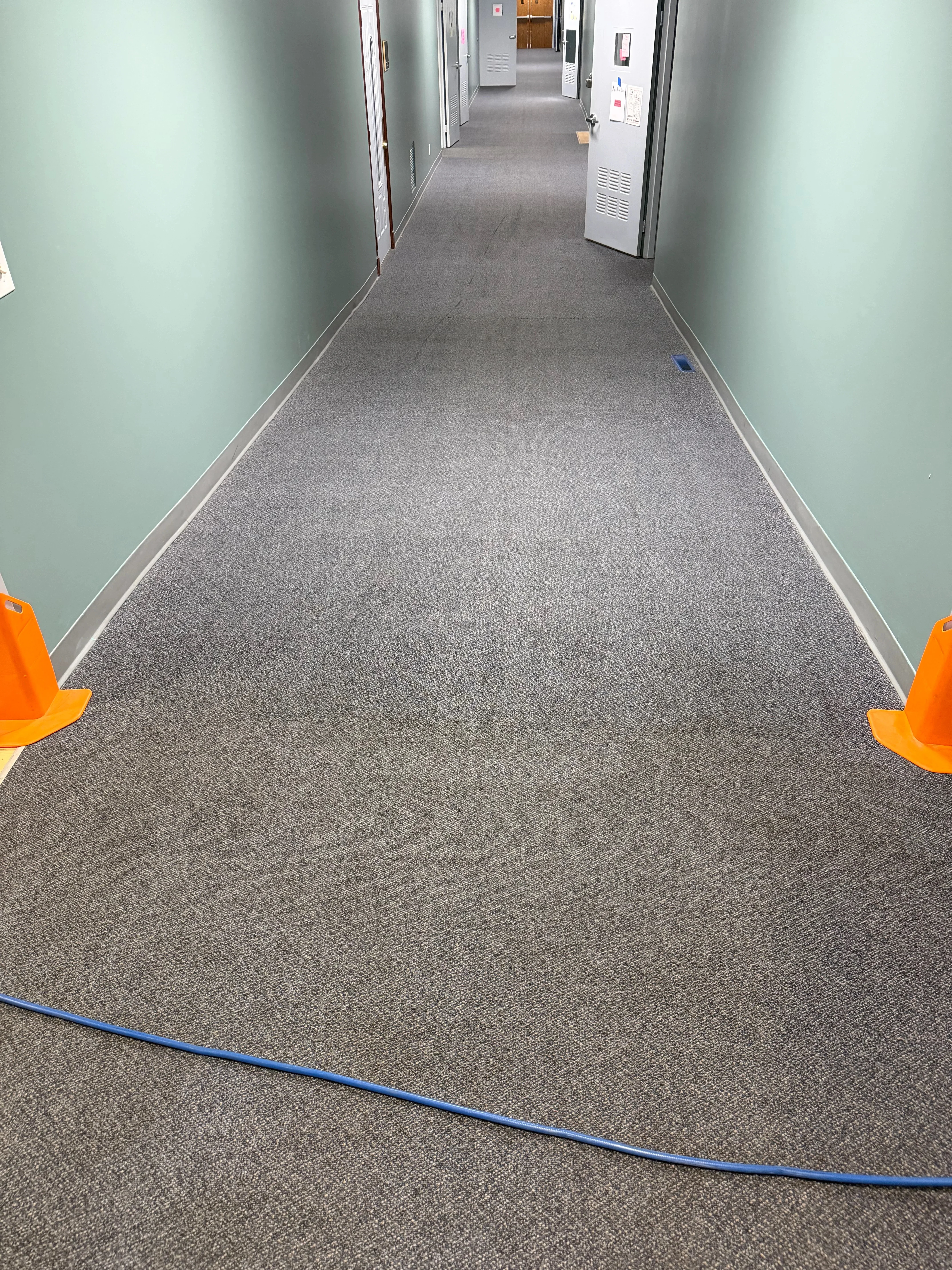 Clean gray carpet tile in commercial hallway with white trim and metal door frames